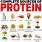 Protein Food Names