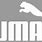 Puma Logo White