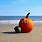 Pumpkin On the Beach