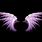 Purple Angel Wings