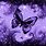 Purple Butterflies GIF