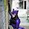 Purple Cat Suit