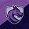 Purple Dragon Gaming Logo