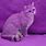 Purple Kitty Cat