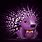 Purple Porcupine