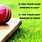 Quotes On Cricket