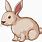 Rabbit in Cartoon