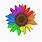 Rainbow Sunflower SVG