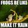 Raining Frogs Meme