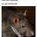 Rat Pic Meme