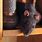 Rat Proffing Home