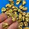 Raw Gold Nuggets
