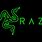 Razer Laptop Logo