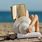 Reading Book On Beach