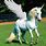 Real Pegasus Unicorns