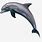 Realistic Dolphin Clip Art
