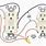 Receptacle Outlet Wiring