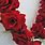 Red Rose Garland