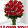 Red Rose Love You