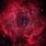 Red Rose Nebula