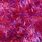 Red and Purple Fabric