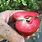 Red-Fleshed Apple's