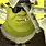 Rich Shrek