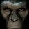 Rise Planet of Apes Movie