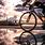 Road Cycling Wallpaper