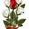 Rose Bouquet Clip Art Free