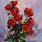 Rose Oil Painting