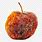 Rotten Apple PNG