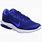 Royal Blue Nike Running Shoes