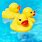 Rubber Duck Floating