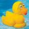 Rubber Ducky Floaty