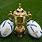 Rugby World Cup Trophy