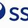 SSE Logo.png