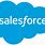 Salesforce Logo Icon