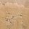 Sand Wall Texture