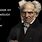 Schopenhauer Frases