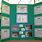 Science Project Display Board