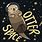 Sea Otter in Space Logo