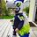 Seahawks Costume