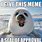 Seal Meme