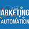 Search Marketing Automation