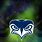 Seattle Seahawks Phone Wallpaper
