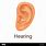 Sense of Hearing Cartoon