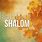 Shalom Pics