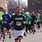 Shamrock 8K