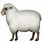 Sheep Emoji Apple